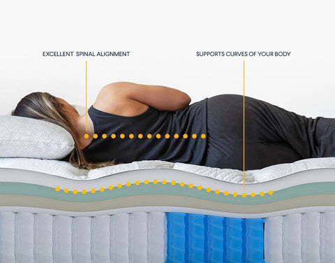 Nolah Evolution Comfort+