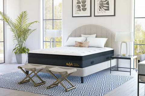 Nolah Evolution: Plush