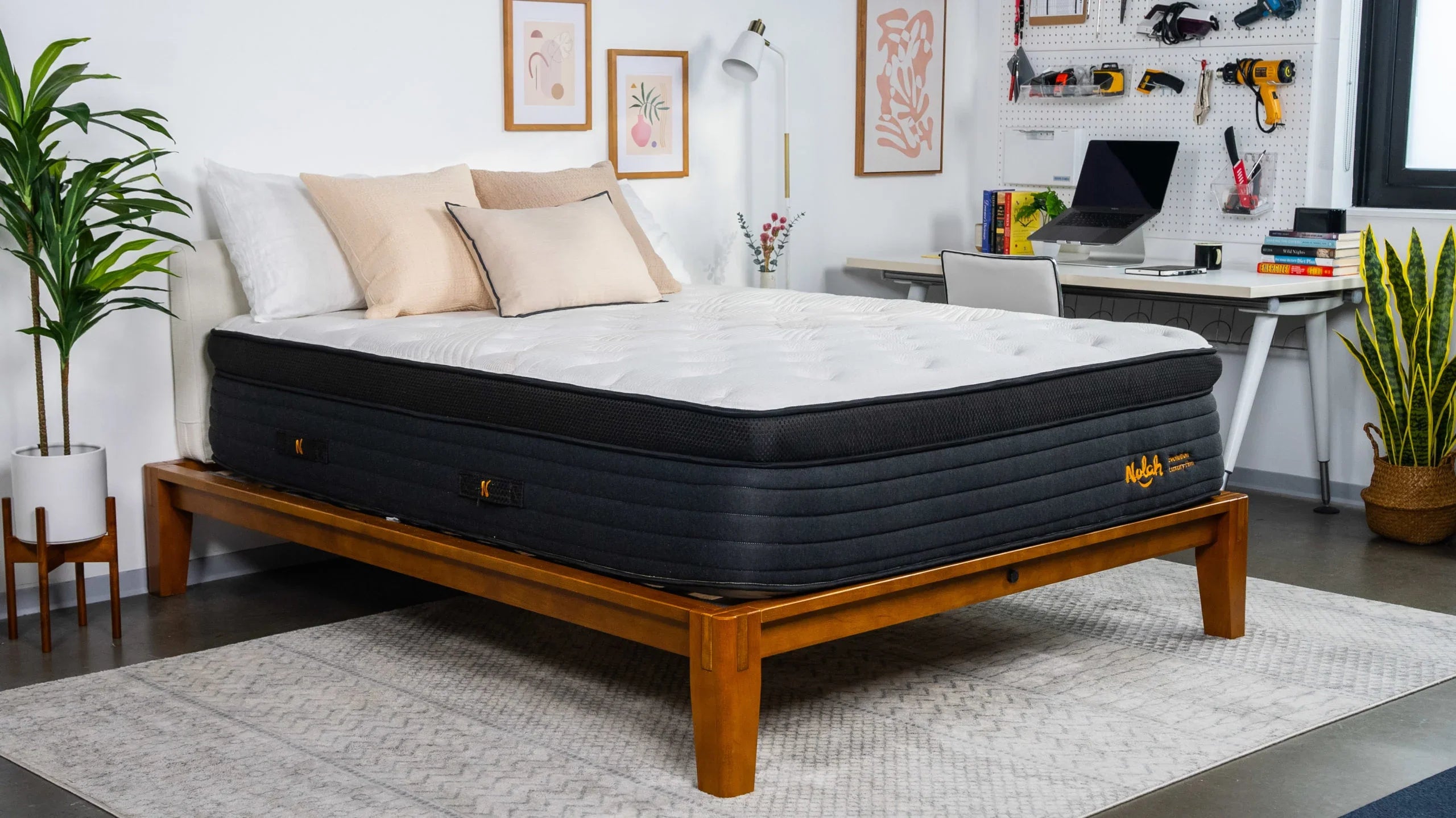 Nolah Evolution Plush Mattress Review – Slumber Cove Mattress Showroom